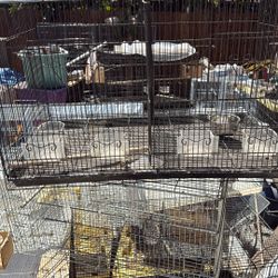 30 In Bird Cages Used 