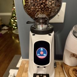 Fiorenzato AllGround Sense Coffee Grinder