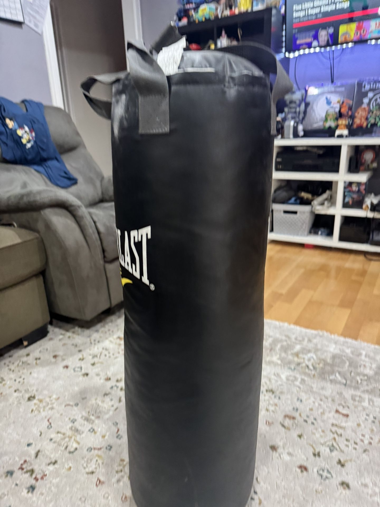 Everlast Punching Bag