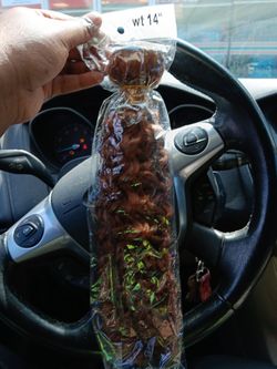  Wigs,Extensions,Bundles