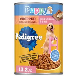 Maltipoo Puppy Food 