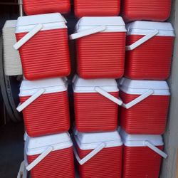 12 Pack Coolers  $10 Each