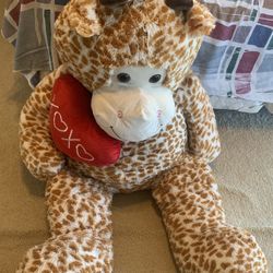 Stuffed Animal 