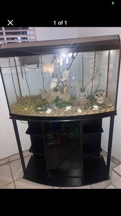 Fish Tank W Accessories