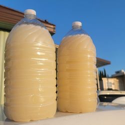 Rico Pulque Y Agua Miel