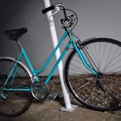 1970s Vintage Schwinn World Tourist 10 Speed Women's Bycicle