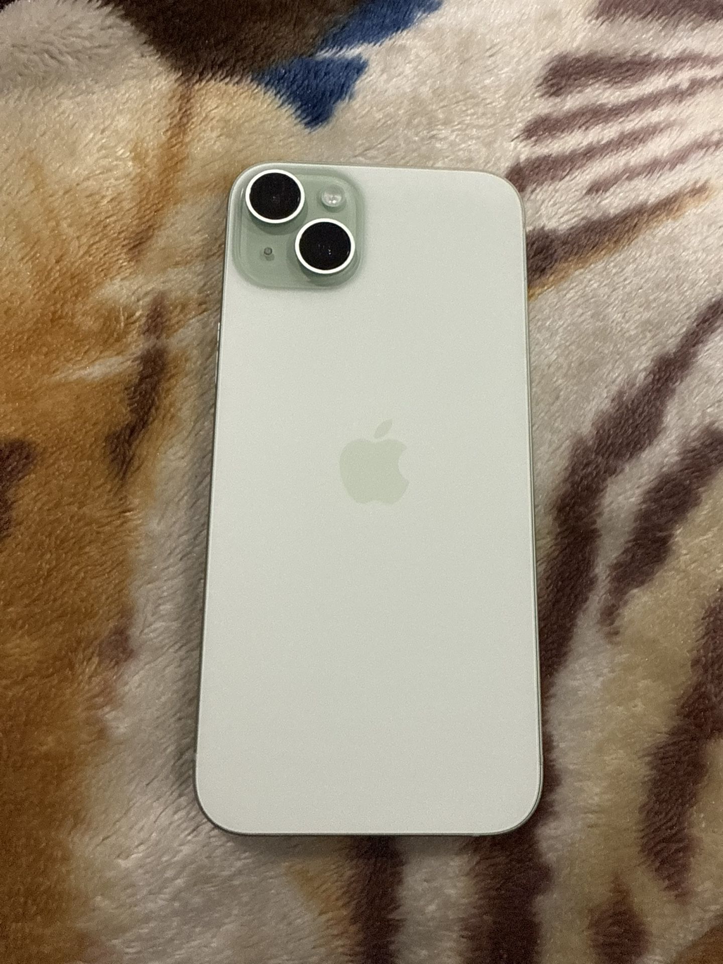 iPhone 15 Plus