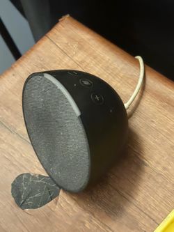 Amazon echo Alexa