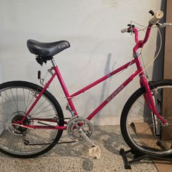 🔥🚲🔥Vintage 1990’s Women’s Schwinn Maximizer Bike 🔥🚲🔥