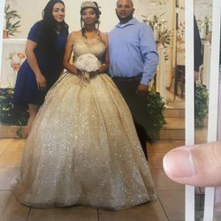 Quince Dress