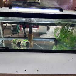 20 gallon long aquarium/fish tank with everything included
