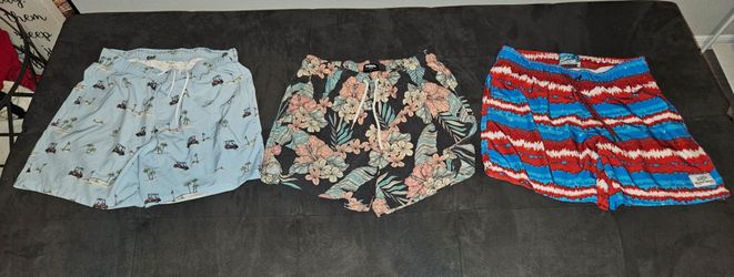 Mens Size Large Swim Trunk Bundle - Beach Bros, RSQ, Hollister