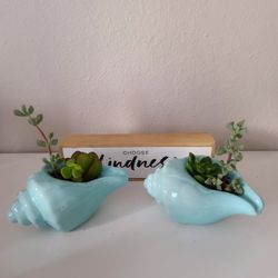 Ceramic Seashells with Live Succulents- Set of 2
