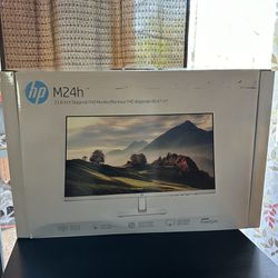 HP 24 inch Monitor 