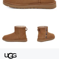 Ugg Women Boots