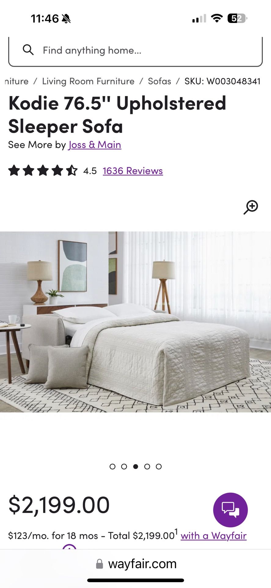 Sleeper Sofa