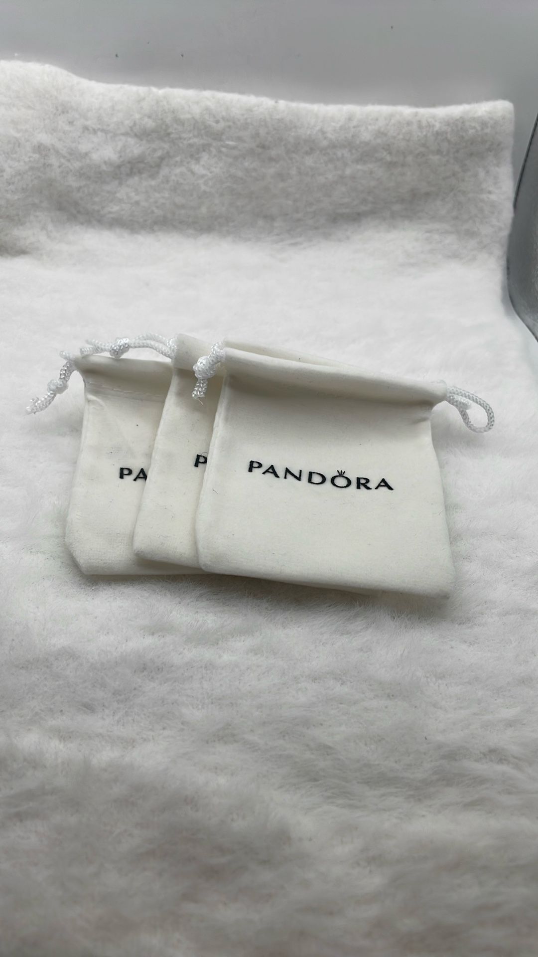 Pandora Jewelry Bag