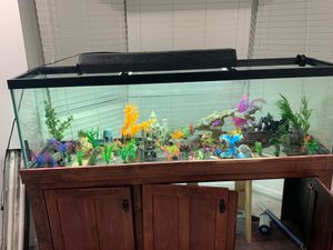 New And Used Fish Tank Decorations For Sale In Detroit Mi Offerup