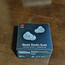 Beats Earbuds