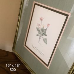 Framed Art / Picture 