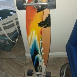Long Board Skate Board