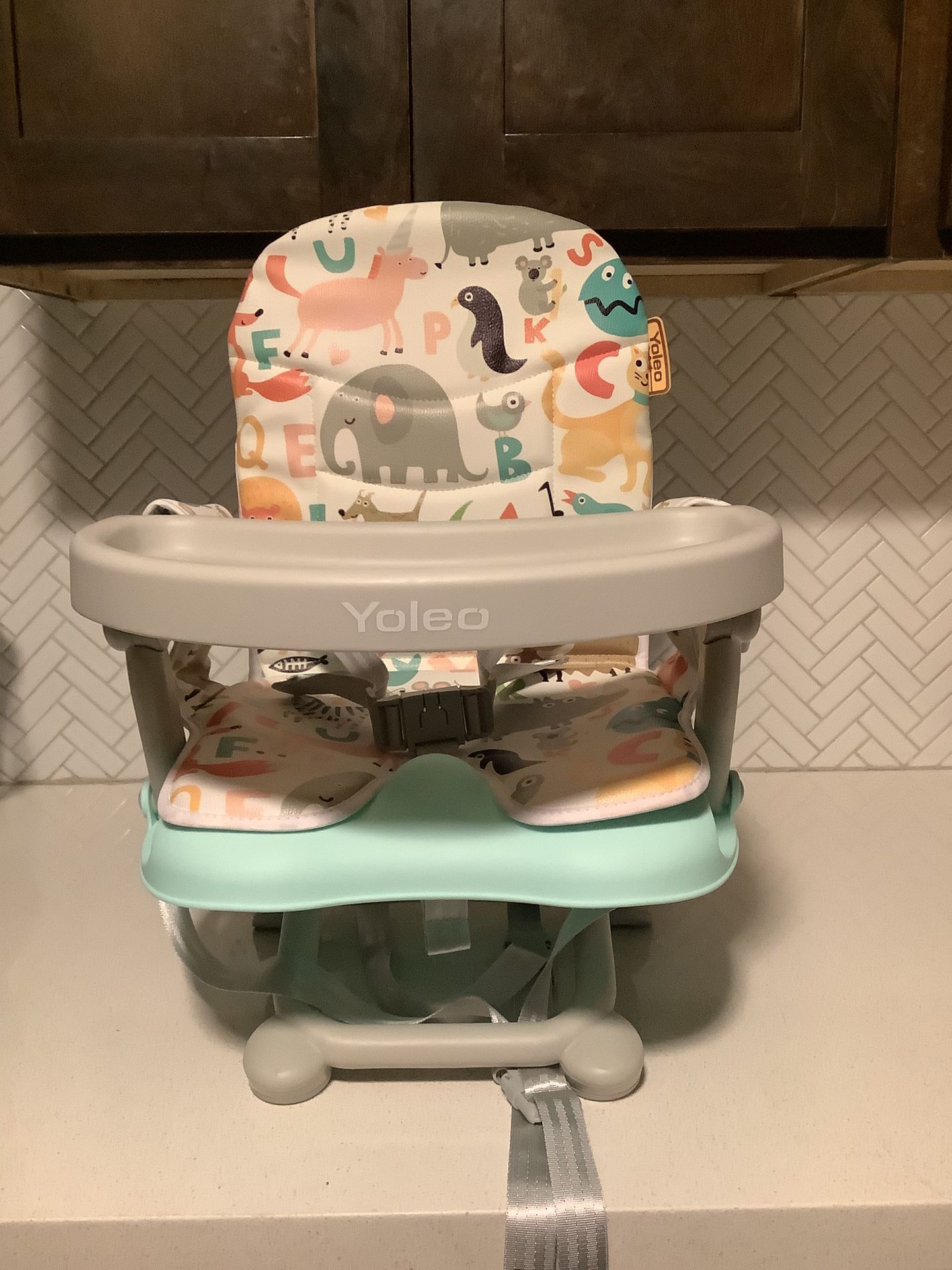Baby Booster Chair
