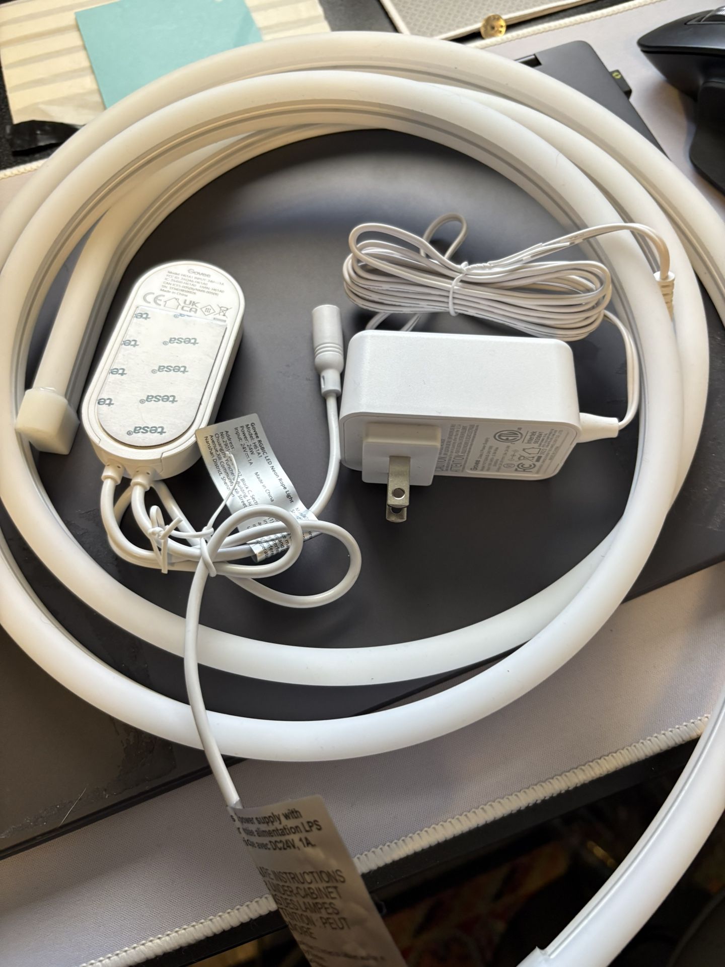 Govee Rope Lights 10ft 