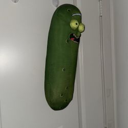 Rick & Morty Pickle