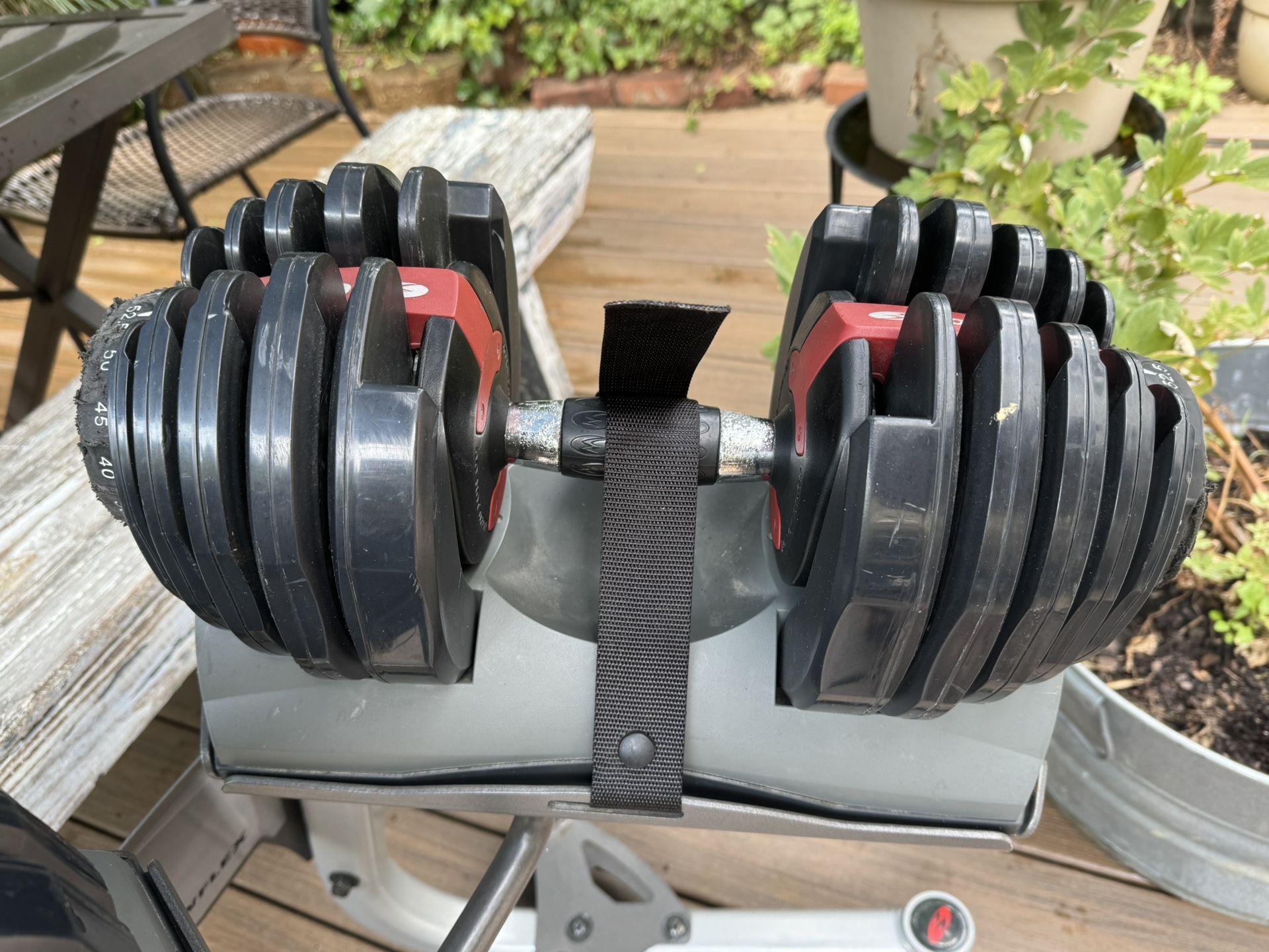 Bowflex Weights & Stand