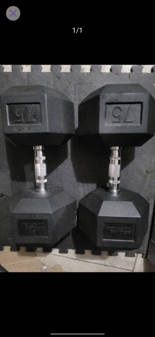 75lbs Dumbells Weights