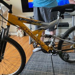 Adult Bike