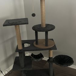 Cat Tree