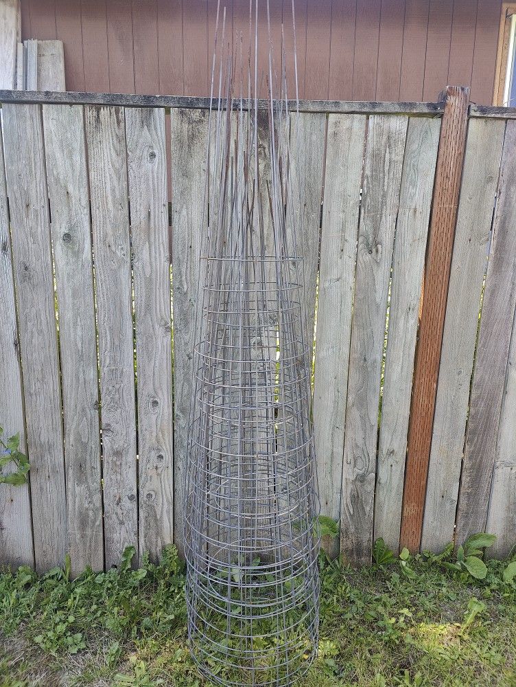Tomo Cage