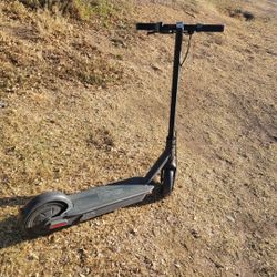Electric Scooters