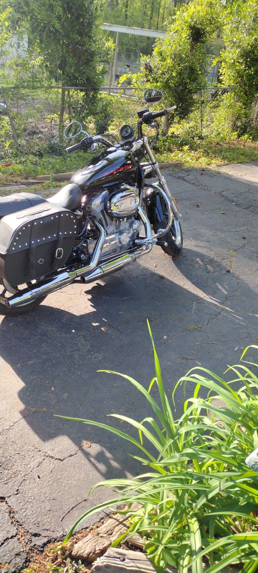 2014 Harley Davidson Sportster