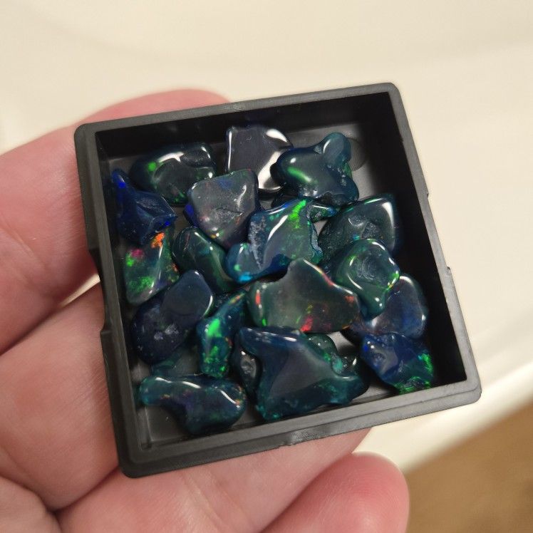 Ethiopian Black Opal Lot , 22 Pieces, Rough Free-form, 10-18  MM  Approx. 
