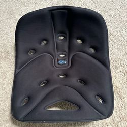 Backjoy core posture seat