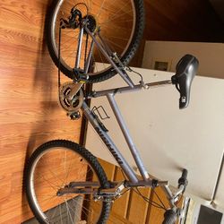 Nishiki Bike Frame 17”Tire 26”