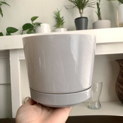 Grey Flower / Plant Pot 