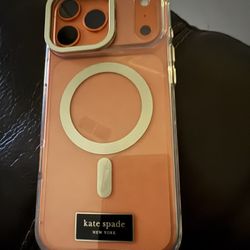 iPhone 17 Promax 