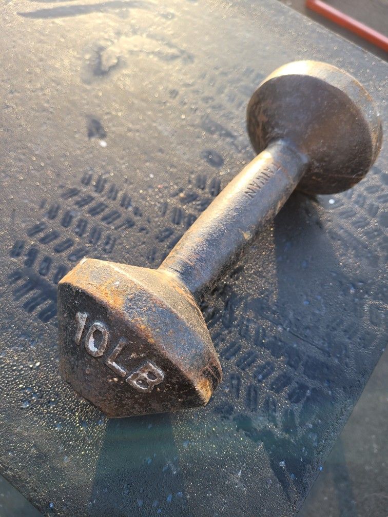 10lb Dumbbell
