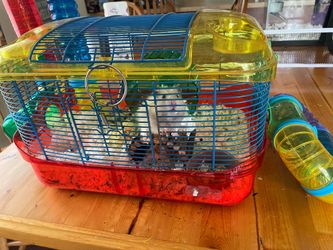 Free 🐹