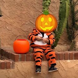 Tiger Halloween Costume For Toddlers