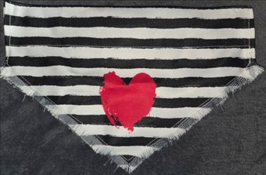 Pet Bandana for Dogs - Black and White with Red Heart NWOT