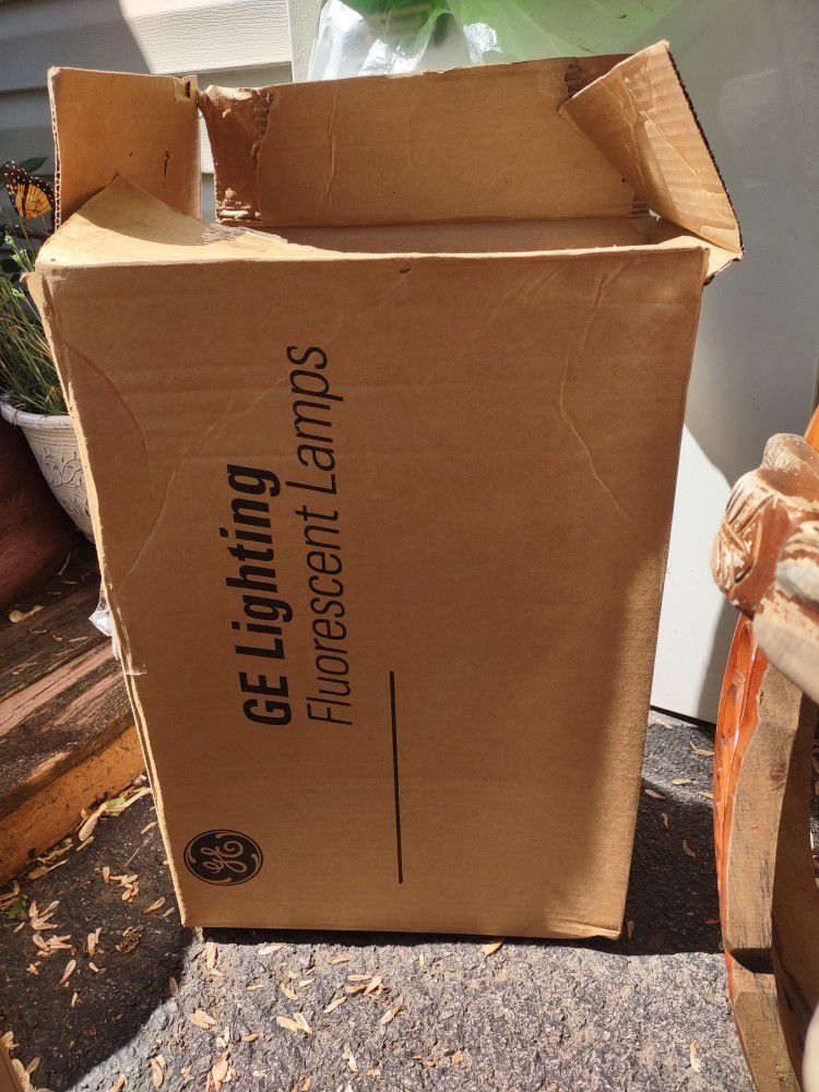 Florescent Lights, In Box