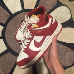 Nike Dunk gym red
