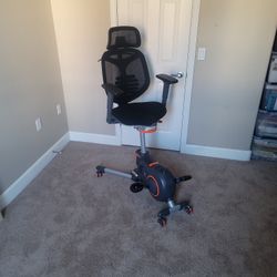 Flexispot V6 Pedal Chair