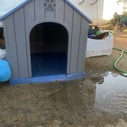Dog House