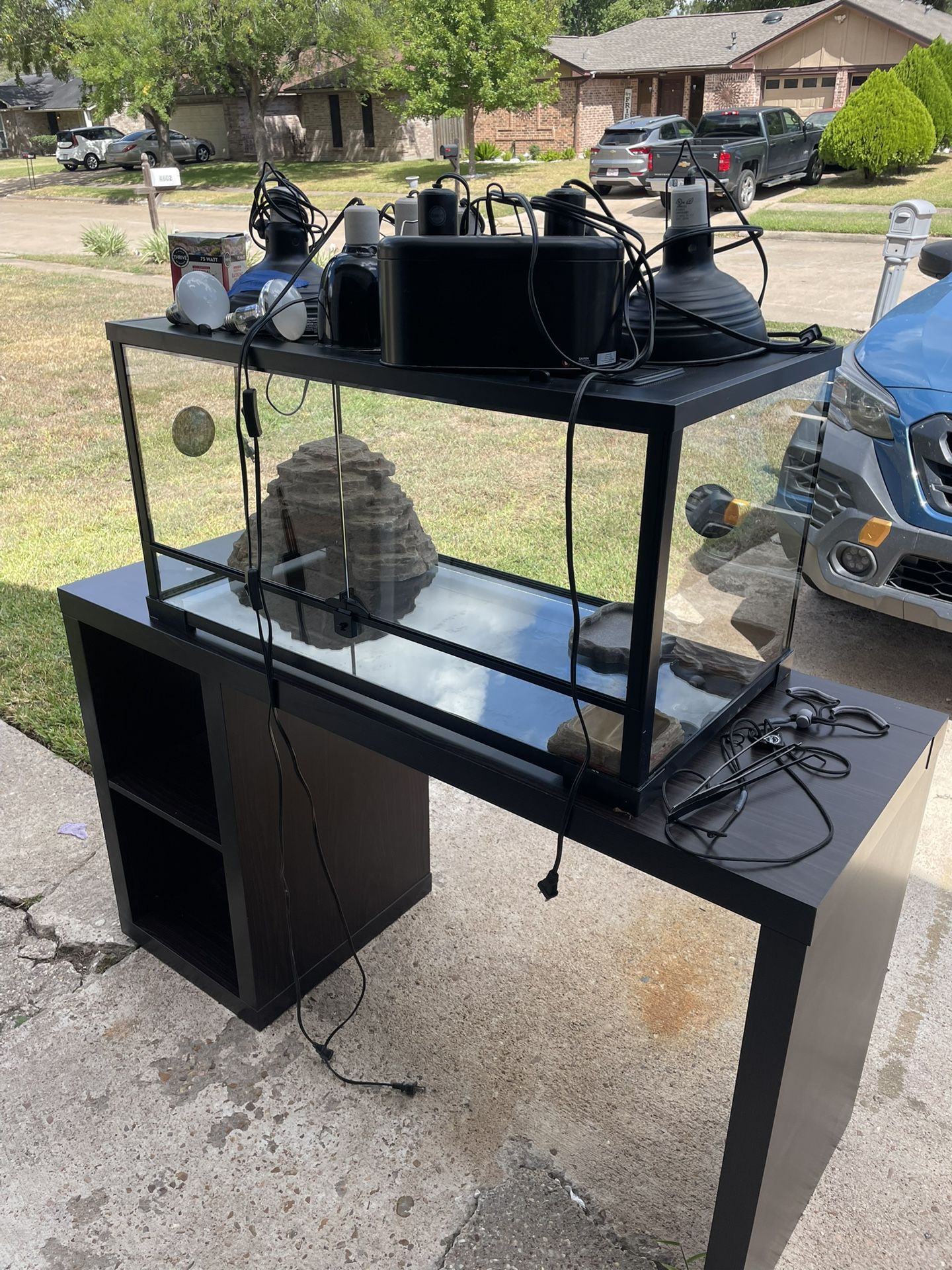 Thrive Terrarium 40gallon