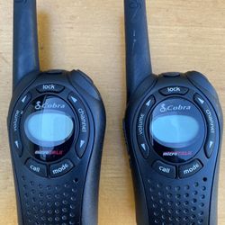 22 Channel Walkie-talkie